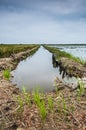 Irrigation Royalty Free Stock Photo