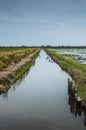 Irrigation Royalty Free Stock Photo