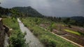 Irrigation water channels in stunning rice fields