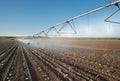 Irrigation Wheel Line Royalty Free Stock Photo