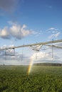 Irrigator, potato field with a rainbow. MIdwest, USA Royalty Free Stock Photo