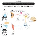 Irritability in Biology Infographic Diagram