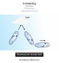 Irritability in Protozoa Infographic Diagram example paramecium avoidance behavior