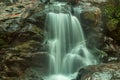 Iruppu waterfalls at nagarhole karnataka