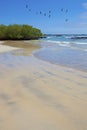 Isabela landscape Royalty Free Stock Photo