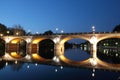 Bridge Isabella in Turin