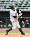Isaias Tejeda, Charleston RiverDogs Royalty Free Stock Photo