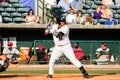 Isaias Tejeda, Charleston RiverDogs Royalty Free Stock Photo