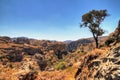 Isalo canyon panorama Royalty Free Stock Photo