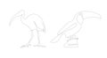 Isan and Pelican one line art. Unusual bird single linear art. Vector illustration. Birds outline.