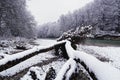 Isar river in wintertime with snow Royalty Free Stock Photo
