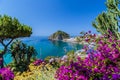 Ischia and Bougainvillea glabra