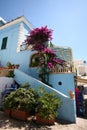 Ischia, island in the mediterranean sea