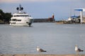 Two seagulls are walking on the quay of the port of Ischia, near