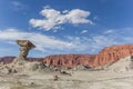 Ischigualasto provincial park