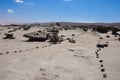 Ischigualasto rock formations in Valle de la Luna, Argentina