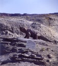 Ischigualasto rock formations in Valle de la Luna, moon valley san juan providence Argentina Royalty Free Stock Photo