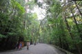 Ise jingu shrine Ise city Japan Royalty Free Stock Photo