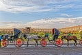 Isfahan Imam Square carriages