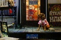 Ishigaki, Japan - November 25: Dressed do sits in front of a bar at night on November 25, 2015 in Ishigaki, Japan