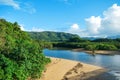 Ishigaki Japan Okinawa Island River Forrest Landscape