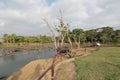 Nature, reserve, tree, wetland, sky, plant, bank, water, resources, reservoir, landscape, recreation, safari Royalty Free Stock Photo