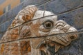 Ishtar Gate Lion Eye