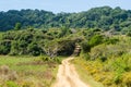 Isimangaliso wetland park. Garden route, South Africa. Royalty Free Stock Photo