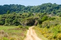 Isimangaliso wetland park. Garden route, South Africa.