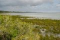 Isimangaliso wetland park. Garden route, South Africa. Royalty Free Stock Photo