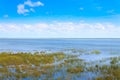 Isimangaliso Wetland Park landscape Royalty Free Stock Photo