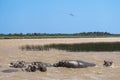 Isimangaliso wetland park south africa Royalty Free Stock Photo