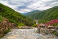 Iskar Gorge, Bulgaria Royalty Free Stock Photo