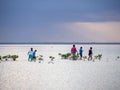 Isla Blanca, Cancun, Mexico, South America: [Sunset at natural island near Cancun, clear waters, lagoon, tourist destination, Cari Royalty Free Stock Photo