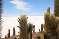 Isla de Pescadores, Salt lake Uyuni in Bolivia. Salar de Uyuni is the biggest salt lake