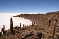 Isla del Pescado, Salar de Uyuni, Bolivia Royalty Free Stock Photo