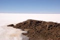 Isla del Pescado, Salar de Uyuni, Bolivia Royalty Free Stock Photo