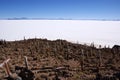 Isla del Pescado, Salar de Uyuni, Bolivia Royalty Free Stock Photo