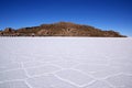 Isla del Pescado on Salar de Uyuni, Bolivia Royalty Free Stock Photo