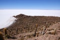 Isla del Pescado, Salar de Uyuni, Bolivia Royalty Free Stock Photo