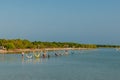 Isla Holbox, Mexico - february, 2020 Relaxing in a hammock over the water on sunset