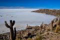 Isla Incahuasi (Pescadores), Salar de Uyuni, Bolivia