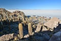 Isla Incahuasi. Salar de Uyuni. PotosÃÂ­ Department. Bolivia