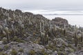 Isla Incahuasi (Pescadores), Salar de Uyuni, Bolivia