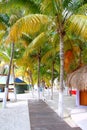 Isla Mujeres tropical North Beach Royalty Free Stock Photo