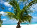 Isla Pasion Mexico Royalty Free Stock Photo