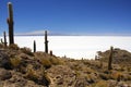 Isla Pescado in the middle of the Salar de Uyuni