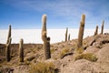 Isla Pescador, Bolivia Royalty Free Stock Photo