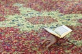 Islam holy book of Muslims, the Quran, is placed on a wooden.