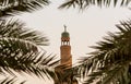 Islamic Centre Mosque through palm trees on the Doha Skyline, Qatar Royalty Free Stock Photo